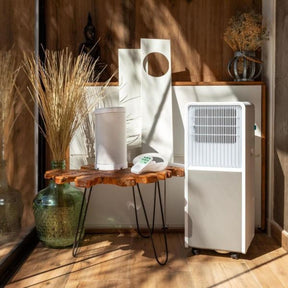 Cecotec Potable 9000 BTU Air Conditioner | 081641
